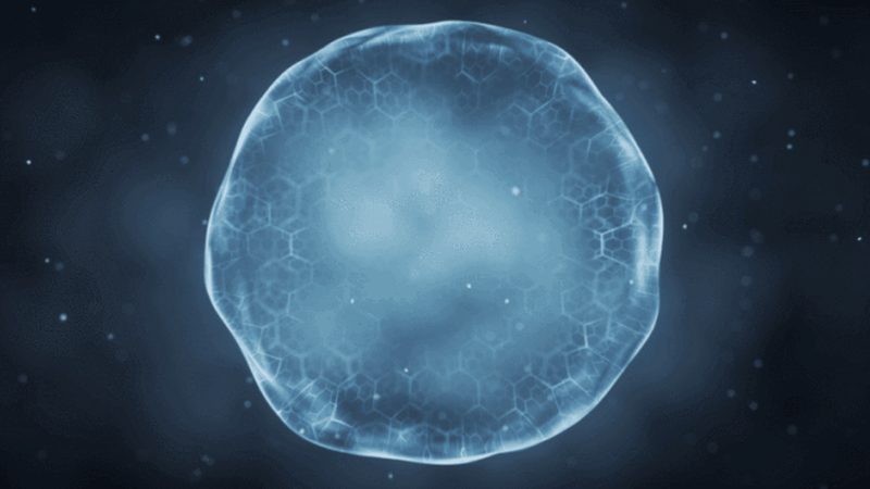 生物科技公司代理品牌，如何选择合适的合作伙伴？**