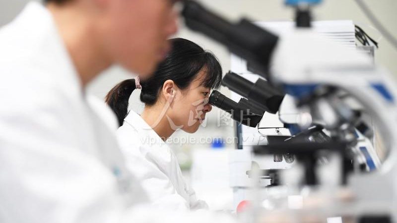 PCR检测灵敏度：揭秘影响检测效果的关键因素