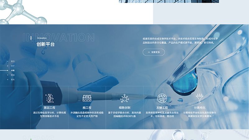 酶与酵素：揭开两者的神秘面纱与价格之谜**