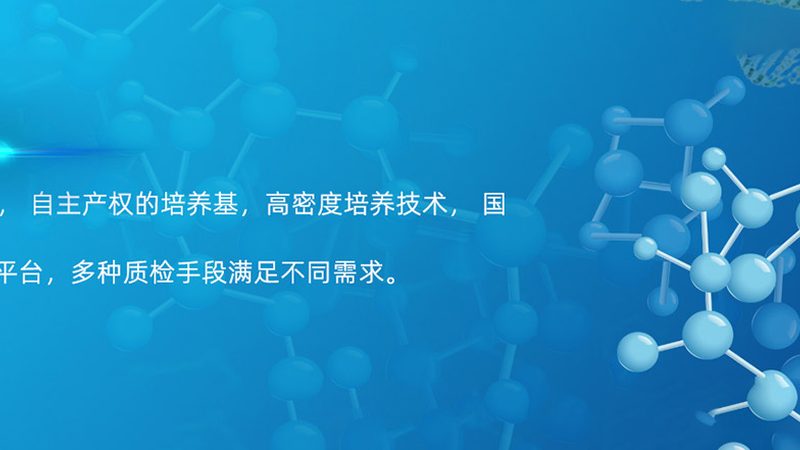 CDMO仿制药开发流程：揭秘从研发到生产的全链条**