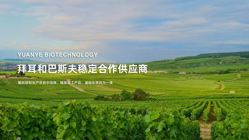 离心管材质：如何选择合适的实验伴侣**
