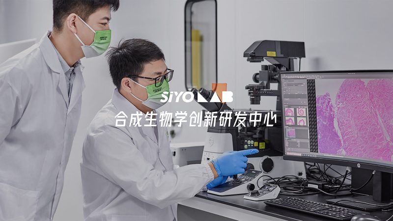 CDMO代理加盟条件