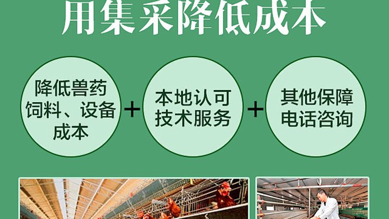 PCR管与离心管：两种实验工具的异同解析