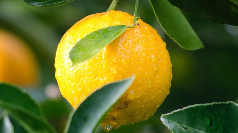 基因检测实验室：资质要求与规范解析