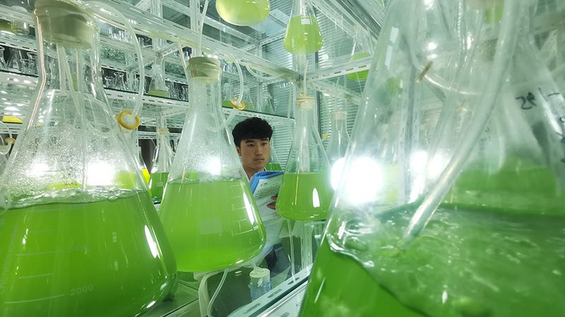 低温离心管：揭秘其与普通离心管的五大差异**